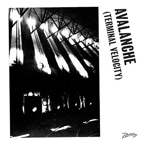 Avalanche (Terminal Velocity) [Vinyl Maxi-Single] EP von Because Music (Alive)