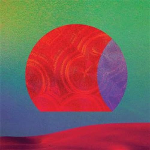 Hi Djinx! Django Django Remixe [Vinyl LP] von Because