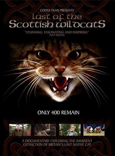 The Last Of The Scottish Wildcats [DVD] von Beckmann
