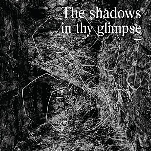 The Shadows In Thy Glimpse: Bedouin Records Selected Discography 2016-2018 [Vinyl LP] von Bedouin Records
