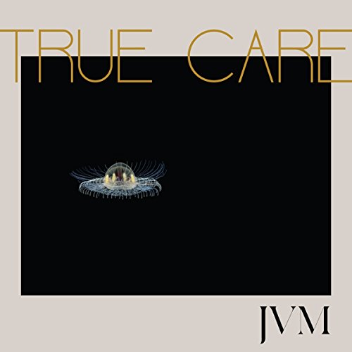 True Care (2lp-Black Vinyl+Mp3) [Vinyl LP] von Believe Digital Gmbh (Soulfood)
