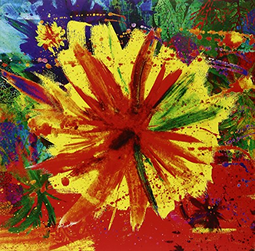 Katang [VINYL] [Vinyl LP] von Bella Union