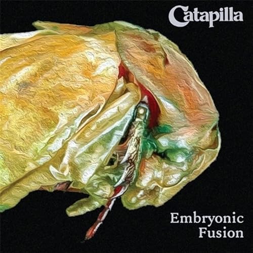 Embryonic Fusion - SHM-CD Embryonic Fusion - SHM-CD von Belle Antique
