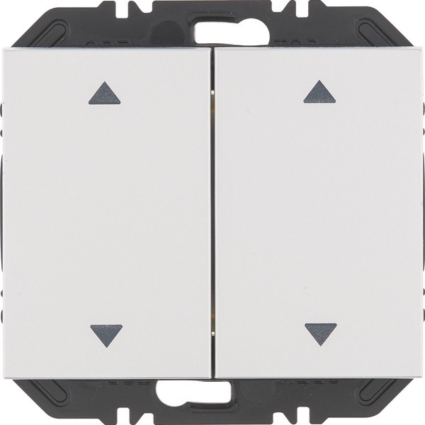 Berker Modul Wippe 2f 24127203 Berker Modul Wippe 2f 24127203 von Berker
