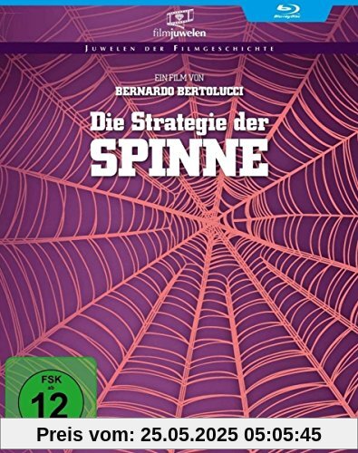 Die Strategie der Spinne (Filmjuwelen) [Blu-ray] von Bernardo Bertolucci