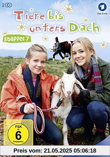 Tiere bis unters Dach - Staffel 7 [2 DVDs] von Berno Kürten