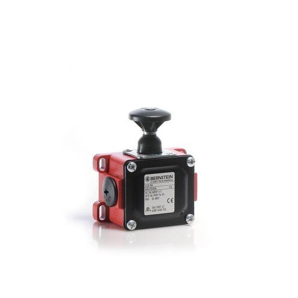 Bernstein Grenztaster D-U1 PW 6041113006 Bernstein Grenztaster D-U1 PW 6041113006 von Bernstein