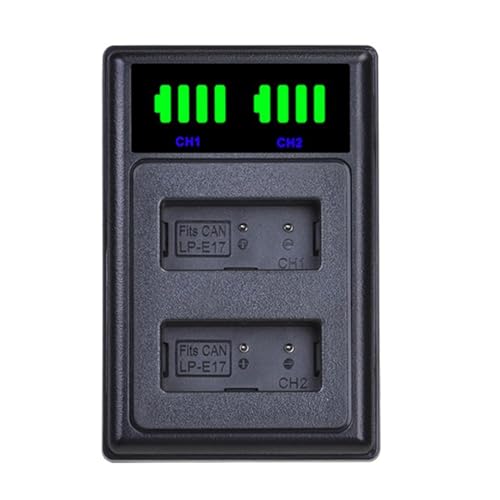 Berriphonia Ladegerät für Digitalkamera, Akku-Ladegerät für Kamera, Ladegerät, Camcorder, mit LED-Display, schnelles Aufladen, tragbarer Ersatz für Reisen im Freien von Berriphonia