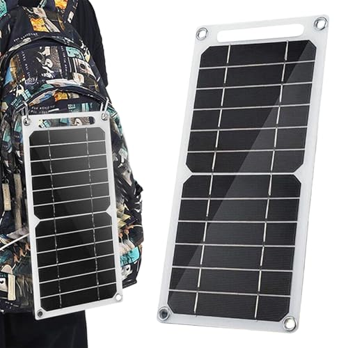 Kleine Sonnenkollektoren - kleine Sonnenkollektoren, 5 V 6W USB Solar Ladegerät | Faltbare Stromverkleidung mit Carabiner, Typ -C -Ausgang, tragbares Batterieladelrad für Telefone, Laptops, Wasserpump von Berriphonia