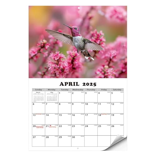 Kolibri-Kalenderplaner -2025 Wandkalender, Mur-Mouled Planner | 2025 12 Monate schwerer Erwachungsplaner, Schlafsaal, Schlafsaal, Arbeitsbereich, geräumiges Wohnzimmer Kolibri-Kalenderplaner -2025 Wandkalender, Mur-Mouled Planner | 2025 12 Monate schwerer Erwachungsplaner, Schlafsaal, Schlafsaal, Arbeitsbereich, geräumiges Wohnzimmer von Berriphonia