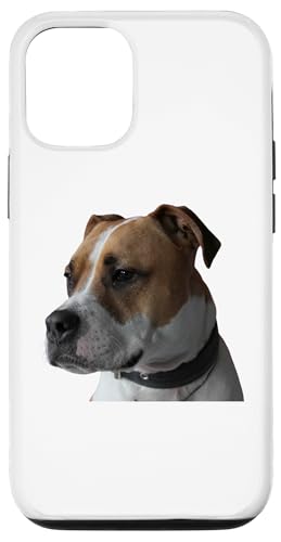 Boxador Dog Mixed Dog Rasse Boxer & Labrador Retriever Hülle für iPhone 12/12 Pro Boxador Dog Mixed Dog Rasse Boxer & Labrador Retriever Hülle für iPhone 12/12 Pro von Best Dog Design Apparel Company