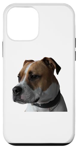 Boxador Dog Mixed Dog Rasse Boxer & Labrador Retriever Hülle für iPhone 12 mini Boxador Dog Mixed Dog Rasse Boxer & Labrador Retriever Hülle für iPhone 12 mini von Best Dog Design Apparel Company