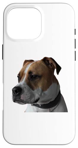Boxador Dog Mixed Dog Rasse Boxer & Labrador Retriever Hülle für iPhone 16 Pro Max Boxador Dog Mixed Dog Rasse Boxer & Labrador Retriever Hülle für iPhone 16 Pro Max von Best Dog Design Apparel Company