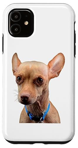 Chihuahua Hund Süße Hunderasse Hülle für iPhone 11 Chihuahua Hund Süße Hunderasse Hülle für iPhone 11 von Best Dog Design Apparel Company