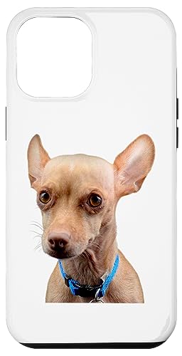 Chihuahua Hund Süße Hunderasse Hülle für iPhone 12 Pro Max Chihuahua Hund Süße Hunderasse Hülle für iPhone 12 Pro Max von Best Dog Design Apparel Company