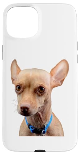 Chihuahua Hund Süße Hunderasse Hülle für iPhone 15 Plus Chihuahua Hund Süße Hunderasse Hülle für iPhone 15 Plus von Best Dog Design Apparel Company