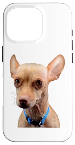 Chihuahua Hund Süße Hunderasse Hülle für iPhone 16 Pro Chihuahua Hund Süße Hunderasse Hülle für iPhone 16 Pro von Best Dog Design Apparel Company