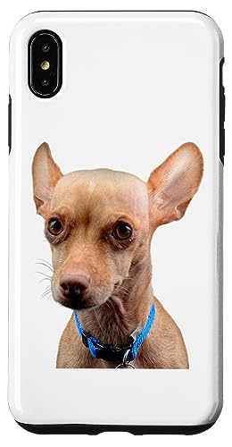 Chihuahua Hund Süße Hunderasse Hülle für iPhone XS Max Chihuahua Hund Süße Hunderasse Hülle für iPhone XS Max von Best Dog Design Apparel Company