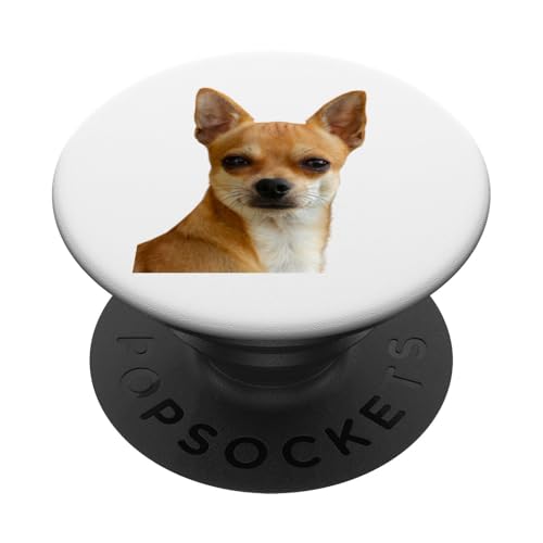 Chihuahua Hunde Shirt Cute Chihuahua Hunderasse PopSockets Klebender PopGrip Chihuahua Hunde Shirt Cute Chihuahua Hunderasse PopSockets Klebender PopGrip von Best Dog Design Apparel Company