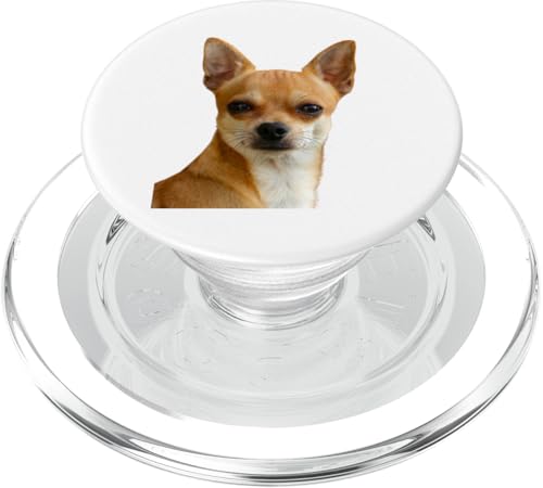 Chihuahua Hunde Shirt Cute Chihuahua Hunderasse PopSockets PopGrip für MagSafe Chihuahua Hunde Shirt Cute Chihuahua Hunderasse PopSockets PopGrip für MagSafe von Best Dog Design Apparel Company