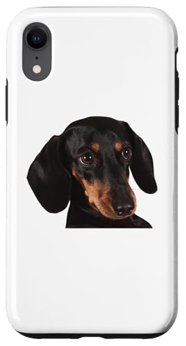Dackel-Hunderasse Hülle für iPhone XR Dackel-Hunderasse Hülle für iPhone XR von Best Dog Design Apparel Company