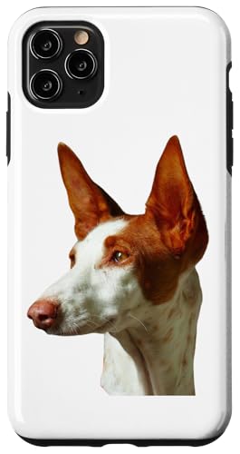 Hund Ibizan Hound Breed Dog Hülle für iPhone 11 Pro Max Hund Ibizan Hound Breed Dog Hülle für iPhone 11 Pro Max von Best Dog Design Apparel Company