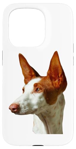 Hund Ibizan Hound Breed Dog Hülle für iPhone 15 Pro Hund Ibizan Hound Breed Dog Hülle für iPhone 15 Pro von Best Dog Design Apparel Company