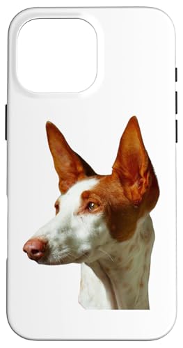 Hund Ibizan Hound Breed Dog Hülle für iPhone 16 Pro Max Hund Ibizan Hound Breed Dog Hülle für iPhone 16 Pro Max von Best Dog Design Apparel Company