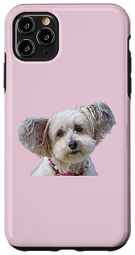 Malteser Hunderasse Shirt Cute Malteser Dog Hülle für iPhone 11 Pro Max Malteser Hunderasse Shirt Cute Malteser Dog Hülle für iPhone 11 Pro Max von Best Dog Design Apparel Company
