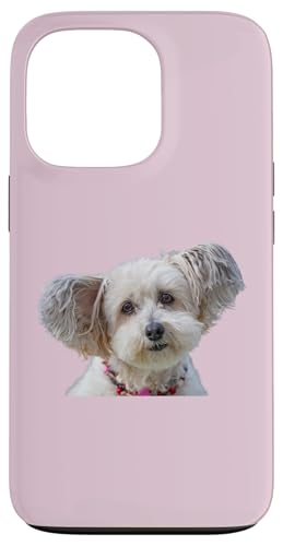 Malteser Hunderasse Shirt Cute Malteser Dog Hülle für iPhone 13 Pro Malteser Hunderasse Shirt Cute Malteser Dog Hülle für iPhone 13 Pro von Best Dog Design Apparel Company