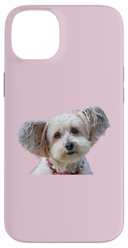 Malteser Hunderasse Shirt Cute Malteser Dog Hülle für iPhone 14 Plus Malteser Hunderasse Shirt Cute Malteser Dog Hülle für iPhone 14 Plus von Best Dog Design Apparel Company