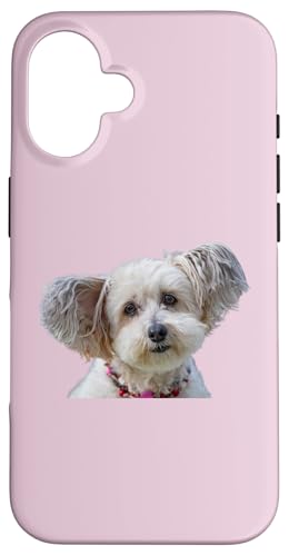 Malteser Hunderasse Shirt Cute Malteser Dog Hülle für iPhone 16 Malteser Hunderasse Shirt Cute Malteser Dog Hülle für iPhone 16 von Best Dog Design Apparel Company