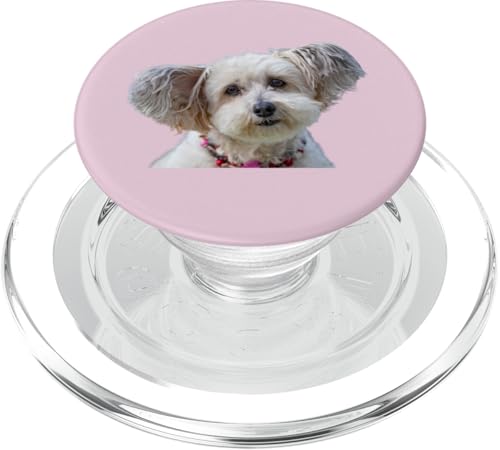 Malteser Hunderasse Shirt Cute Malteser Dog PopSockets PopGrip für MagSafe Malteser Hunderasse Shirt Cute Malteser Dog PopSockets PopGrip für MagSafe von Best Dog Design Apparel Company