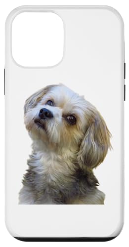Malteser Yorkshire Terrier Hunderasse entzückender Hund Hülle für iPhone 12 mini Malteser Yorkshire Terrier Hunderasse entzückender Hund Hülle für iPhone 12 mini von Best Dog Design Apparel Company