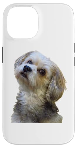 Malteser Yorkshire Terrier Hunderasse entzückender Hund Hülle für iPhone 14 Malteser Yorkshire Terrier Hunderasse entzückender Hund Hülle für iPhone 14 von Best Dog Design Apparel Company