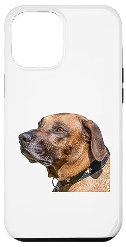 Rhodesian Ridgeback Shirt Rhodesian Ridgeback Hund Hülle für iPhone 12 Pro Max Rhodesian Ridgeback Shirt Rhodesian Ridgeback Hund Hülle für iPhone 12 Pro Max von Best Dog Design Apparel Company
