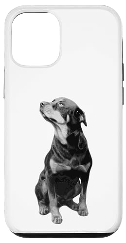 Rottweiler Hunderasse Hülle für iPhone 12/12 Pro Rottweiler Hunderasse Hülle für iPhone 12/12 Pro von Best Dog Design Apparel Company