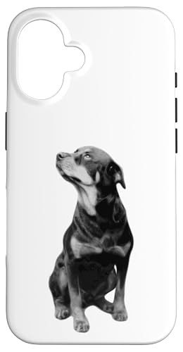 Rottweiler Hunderasse Hülle für iPhone 16 Rottweiler Hunderasse Hülle für iPhone 16 von Best Dog Design Apparel Company