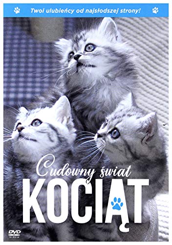 The Secret Life of Kittens [DVD] (IMPORT) (Keine deutsche Version) von Best Film