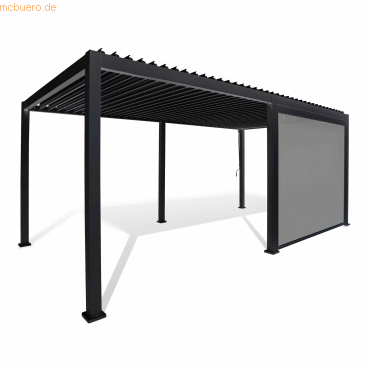 Best Seitenrollo 49940150 400cm anthrazit Best Seitenrollo 49940150 400cm anthrazit von Best