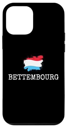Bettemburg Land Luxenburg Familienreise Herren Damen Hülle für iPhone 12 mini Bettemburg Land Luxenburg Familienreise Herren Damen Hülle für iPhone 12 mini von Bettembourg City Luxenbourg Vacation Toddler Kids