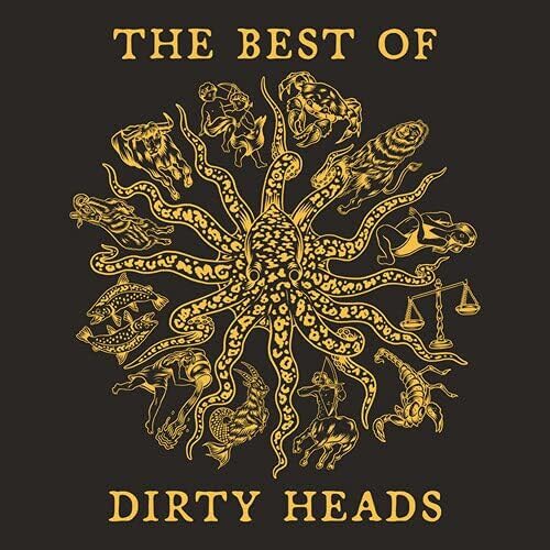 The Best of Dirty Heads [Vinyl LP] von Better Noise Music