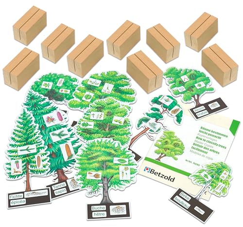 Betzold - Bäume bestimmmen leicht gemacht mit Holzaufstellern von Betzold