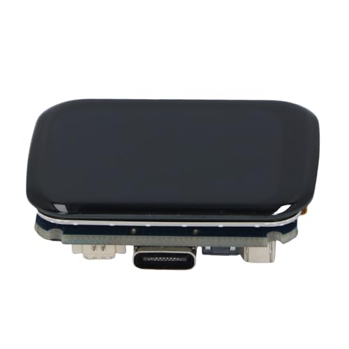 1,69 -Zoll -Farb -LCD -Bildschirmmodul, Berührungsanzeige mit Schnittstelle Vom Typ C, USB -Massenspeicher, RTC -Taktchip Zum Timing, Kompatibel mit RP2350 -Mikrocontroller von Bewinner