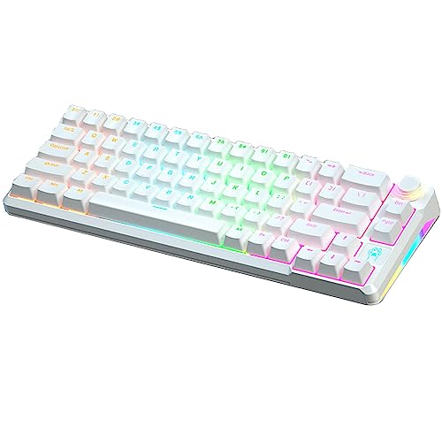 Bewinner 68-Tasten-Gaming-Tastatur mit Blauem Schalter, RGB-Hintergrundbeleuchtung, US-Layout, Kabelgebundene Tastatur für Desktop-Laptop-Büroarbeit von Bewinner