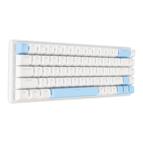 Bewinner Gaming-Tastatur, 10 RGB-Gaming-Tastatur mit Hintergrundbeleuchtung, USB-Gaming-Tastatur mit 68 Tasten und Blauem Schalter, Kabelgebundene Tastatur für Desktop-Laptops (Blau) von Bewinner