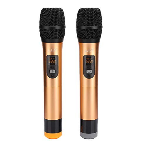 Bewinner Karaoke-Maschine mit 2 Drahtlosen Mikrofonen, Heim-Set, Drahtloses PA-Lautsprechersystem, Heim-Karaoke-System für Heimparty, Meeting, Hochzeit (EU-Stecker) von Bewinner