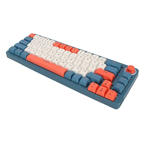 Bewinner Mechanische Gaming-Tastatur, Kompakte 67-Tasten-Computertastatur mit PBT-XDA-Tastenkappen, RGB-Tastatur mit Hintergrundbeleuchtung, PC-Gaming-Tastatur für 7, 8, 10, für (Roter von Bewinner