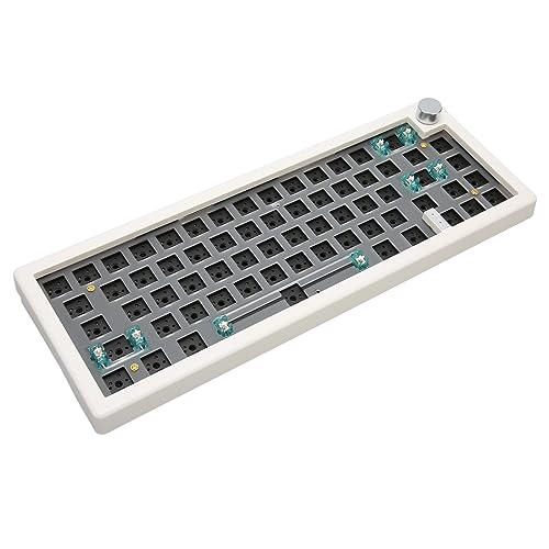 Bewinner Modulare Mechanische RGB-Tastatur Zum Selbermachen, 67 Tasten, Hot-Swap-Bare Barebone-Tastatur, Knopfsteuerung, 2,4-G-Bluetooth-Tastatur-Kit (Weiß) von Bewinner