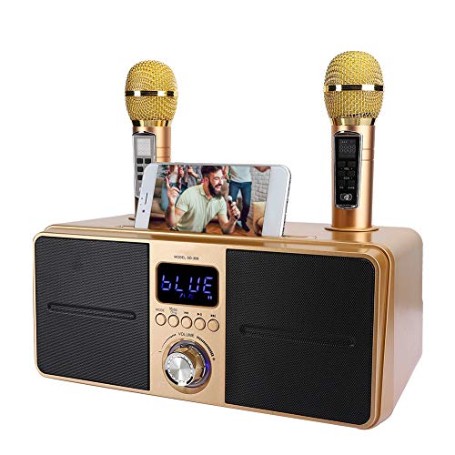 Bewinner1 KTV Kit Bluetooth Karaoke Lautsprecher, Karaoke Ausrüstung mit Doppelmikrofon für zu Hause, AUX USB Universal Video Mehrzweckgerät für Telefon/Tablet/PC, 2 drahtlose Karaoke Mikrofone von Bewinner
